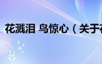 花溅泪 鸟惊心（关于花溅泪 鸟惊心的简介）
