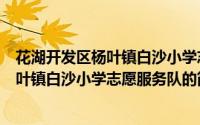 花湖开发区杨叶镇白沙小学志愿服务队（关于花湖开发区杨叶镇白沙小学志愿服务队的简介）