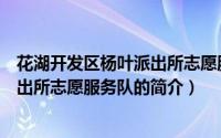 花湖开发区杨叶派出所志愿服务队（关于花湖开发区杨叶派出所志愿服务队的简介）