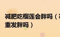 减肥吃榴莲会胖吗（减肥期间吃榴莲会导致增重发胖吗）