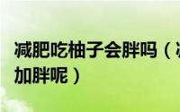 减肥吃柚子会胖吗（减肥的人吃柚子会不会更加胖呢）