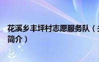 花溪乡丰坪村志愿服务队（关于花溪乡丰坪村志愿服务队的简介）