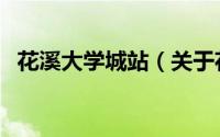 花溪大学城站（关于花溪大学城站的简介）