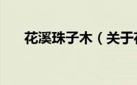 花溪珠子木（关于花溪珠子木的简介）