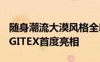 随身潮流大漠风格全新十铨TL01皮革碟2011GITEX首度亮相