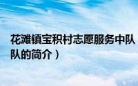 花滩镇宝积村志愿服务中队（关于花滩镇宝积村志愿服务中队的简介）