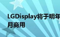 LGDisplay将于明年5月量产8KOLED面板6月商用