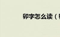 卯字怎么读（卯是什么意思）