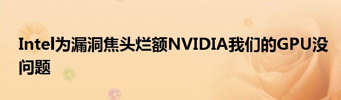Intel为漏洞焦头烂额NVIDIA我们的GPU没问题