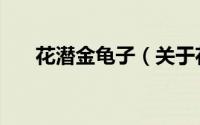 花潜金龟子（关于花潜金龟子的简介）