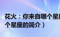 花火：你来自哪个星座（关于花火：你来自哪个星座的简介）