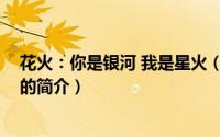 花火：你是银河 我是星火（关于花火：你是银河 我是星火的简介）