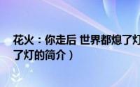 花火：你走后 世界都熄了灯（关于花火：你走后 世界都熄了灯的简介）