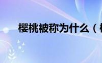 樱桃被称为什么（樱桃有什么雅称呢）