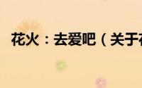 花火：去爱吧（关于花火：去爱吧的简介）