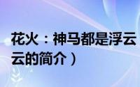 花火：神马都是浮云（关于花火：神马都是浮云的简介）