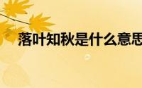 落叶知秋是什么意思（落叶知秋的解释）