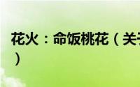 花火：命饭桃花（关于花火：命饭桃花的简介）