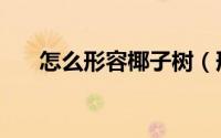 怎么形容椰子树（形容椰子树的句子）