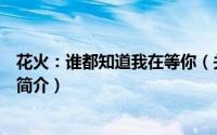 花火：谁都知道我在等你（关于花火：谁都知道我在等你的简介）