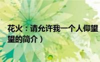 花火：请允许我一个人仰望（关于花火：请允许我一个人仰望的简介）