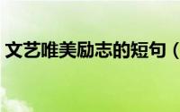 文艺唯美励志的短句（文艺励志的句子集锦）
