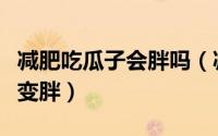 减肥吃瓜子会胖吗（减肥的时候吃瓜子会不会变胖）