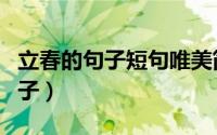 立春的句子短句唯美简短（描写立春的唯美句子）
