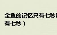 金鱼的记忆只有七秒吗（金鱼的记忆是不是只有七秒）