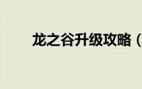 龙之谷升级攻略（有什么升级技巧）