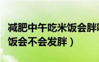 减肥中午吃米饭会胖吗（减肥的时候中午吃米饭会不会发胖）