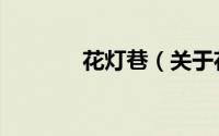 花灯巷（关于花灯巷的简介）