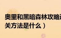 奥里和黑暗森林攻略迷雾森林地图石在哪（过关方法是什么）