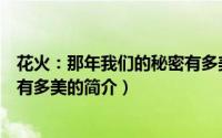 花火：那年我们的秘密有多美（关于花火：那年我们的秘密有多美的简介）