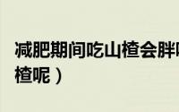 减肥期间吃山楂会胖吗（减肥适不适合食用山楂呢）