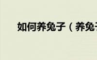 如何养兔子（养兔子需要注意些什么）
