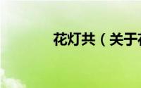 花灯共（关于花灯共的简介）
