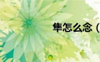 隼怎么念（隼的读音）