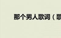 那个男人歌词（歌曲那个男人歌词）