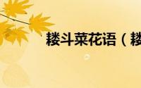 耧斗菜花语（耧斗菜花语是啥）