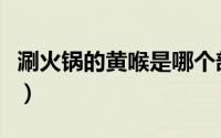 涮火锅的黄喉是哪个部位（涮火锅的黄喉简述）