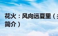 花火：风向远夏里（关于花火：风向远夏里的简介）