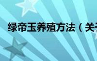 绿帝玉养殖方法（关于绿帝玉的养殖方法）