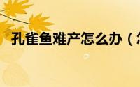 孔雀鱼难产怎么办（怎么解决孔雀鱼难产）