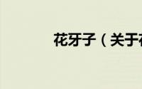 花牙子（关于花牙子的简介）