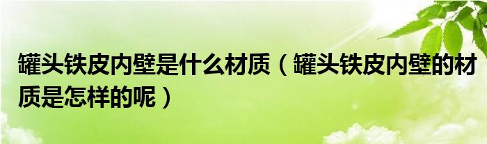 内壁铁皮罐头材质是什么是怎样