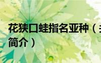 花狭口蛙指名亚种（关于花狭口蛙指名亚种的简介）