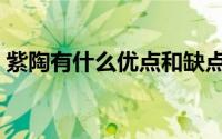 紫陶有什么优点和缺点（紫陶的优缺点介绍）
