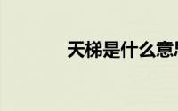 天梯是什么意思（天梯解释）