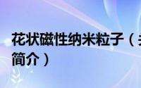 花状磁性纳米粒子（关于花状磁性纳米粒子的简介）